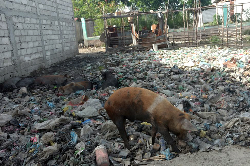 Miséria marca primeira semana de missionários no Haiti 2 domgil07