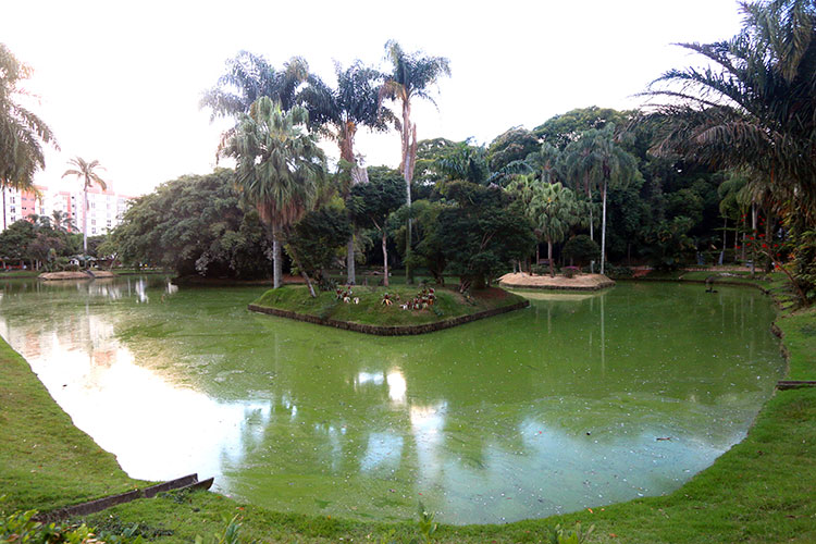 Foto: Felipe Couri lagofelipe