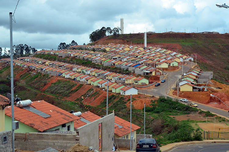 minhavida olavo