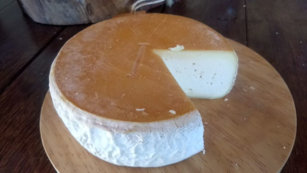Conheça o Queijo de Fungo Branco da Canastra 2 Queijo do Ivair