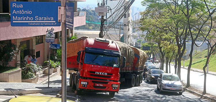 caminhão leo