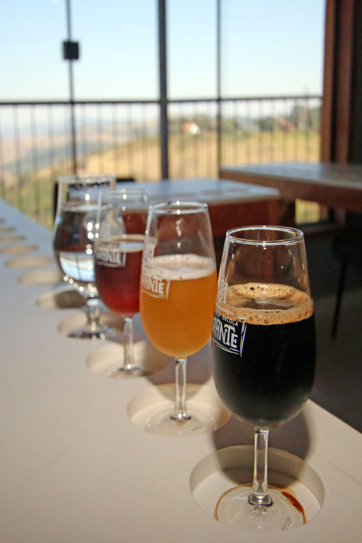 Polo cervejeiro cria oportunidades de negócio em JF 1 cervejamateria