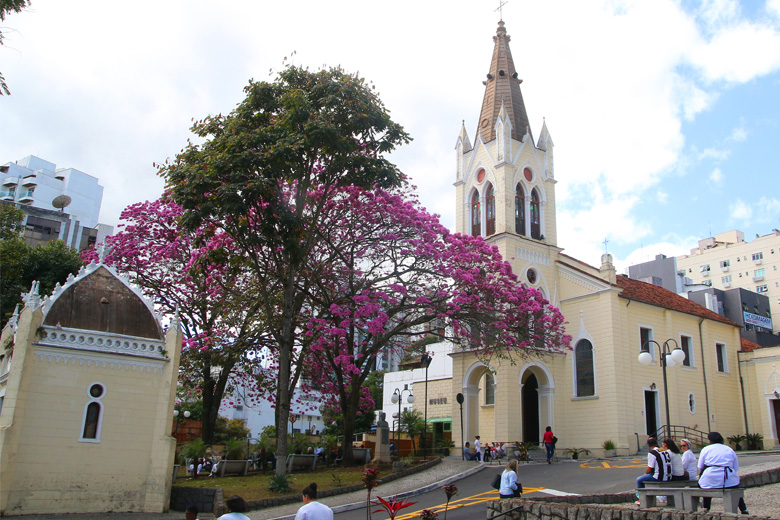 Santa Casa firma convênio com universidade americana 1 ipê 1 fernando priamo
