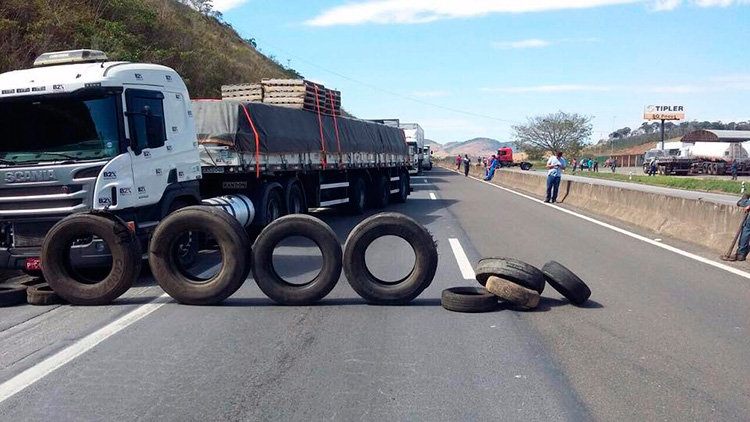 manifesta br 1