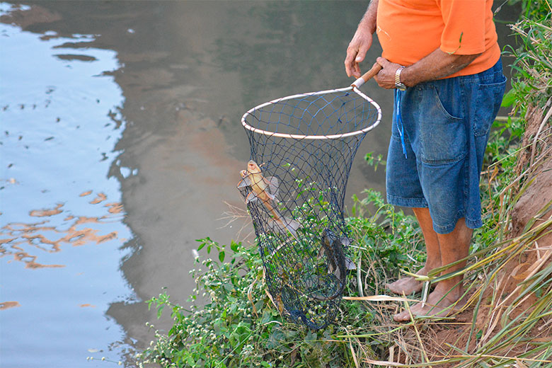 peixe grande