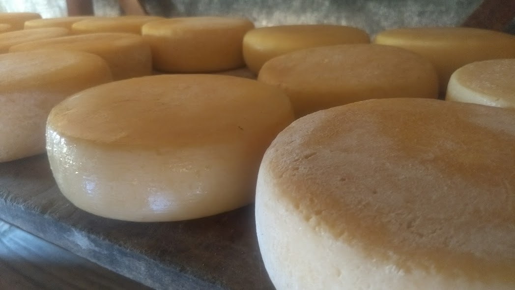 Queijo Canastra