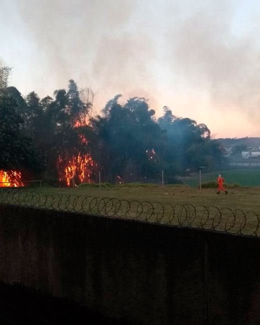 Bombeiros combatem mais de 200 incêndios nesta quarta 1 incendio