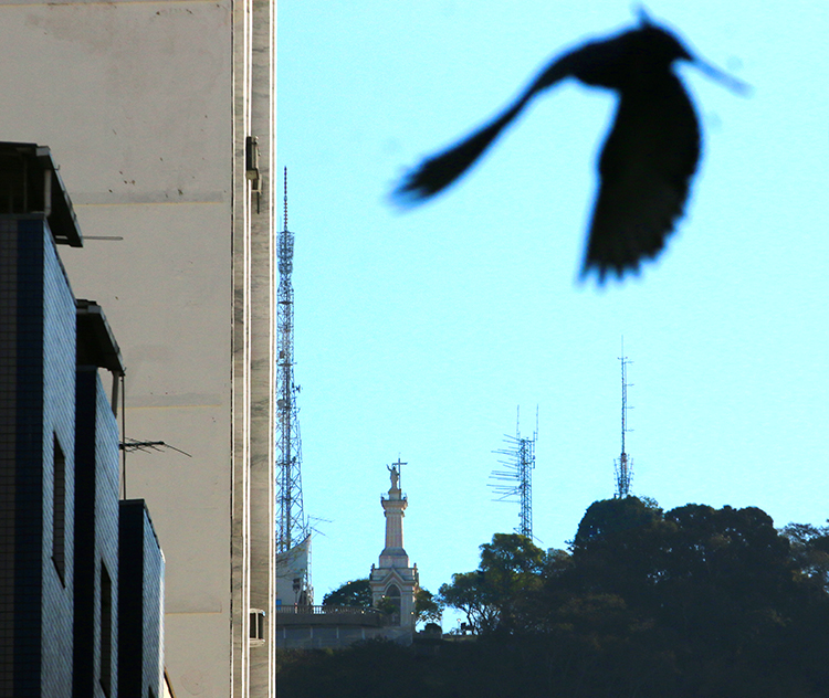 Umidade do ar atinge estado de atenção 1 tempo2