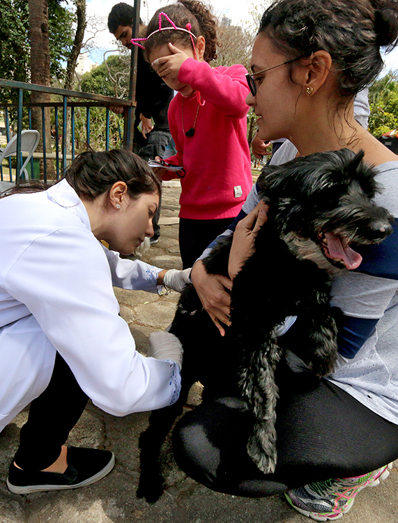 Cães e gatos são vacinados na campanha antirrábica 1 vacina couri