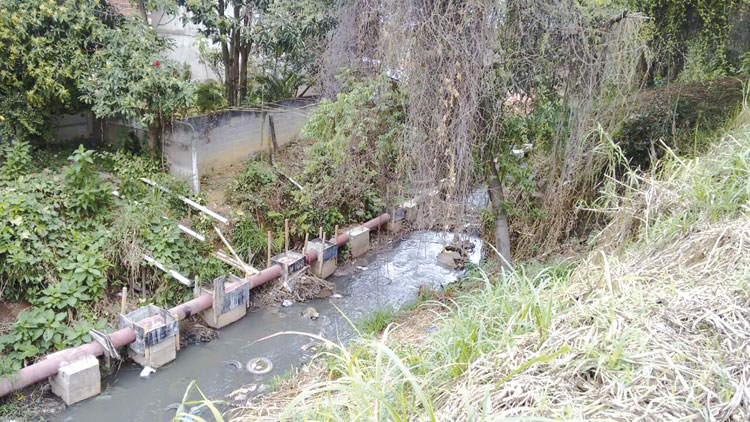 Foto da leitora Modestina Miranda de Oliveira vida urbana bom clima