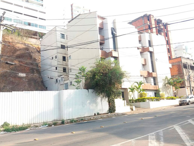 Árvore sobrecarrega fiação elétrica no Cascatinha 1 árvorejuliananetto2