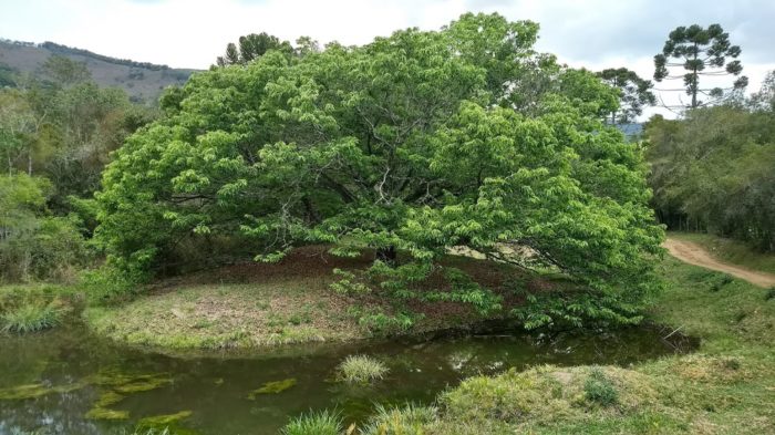 Diário de Bordo - Pé na Estrada Antuérpia 24 Aiuruoca