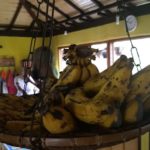 Banana Tia Iracy