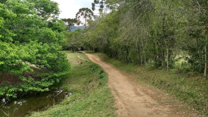 Caminho Matutu1