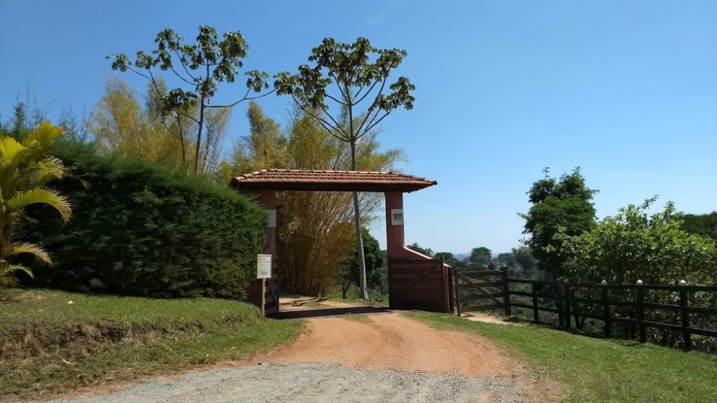 Entrada Azeite Olibi
