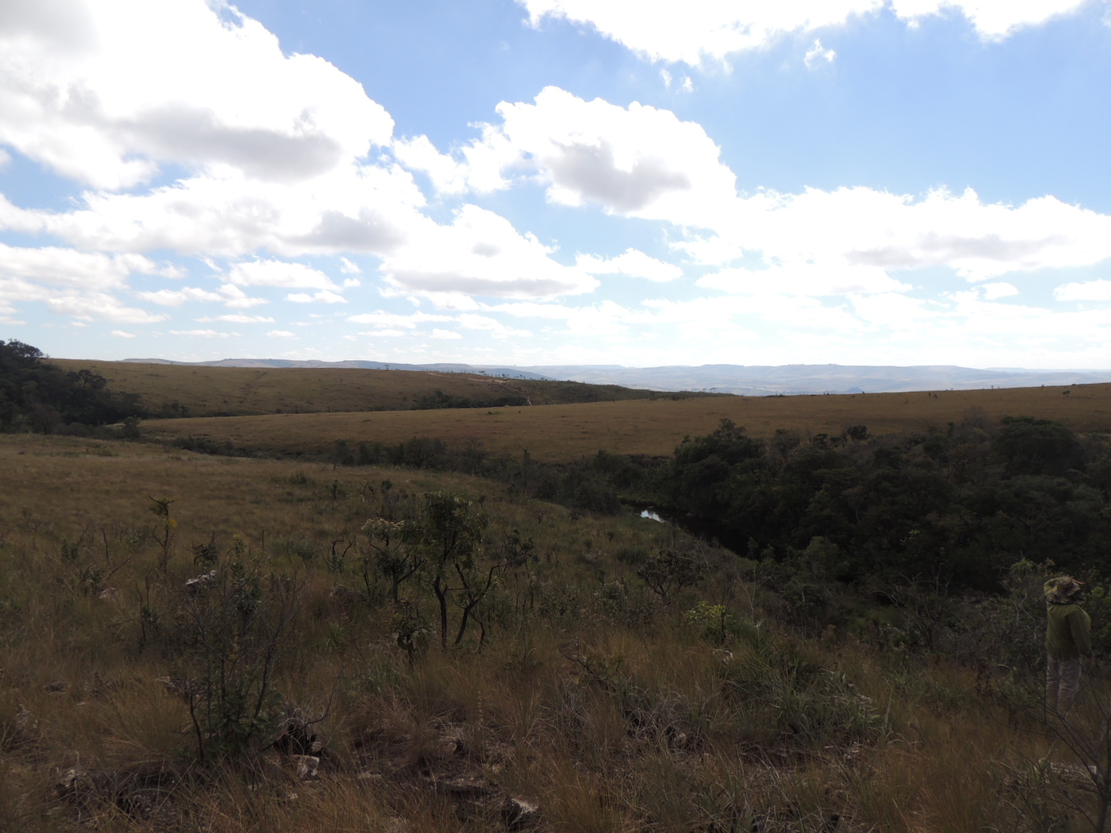 Pq Serra da Canastra Céu