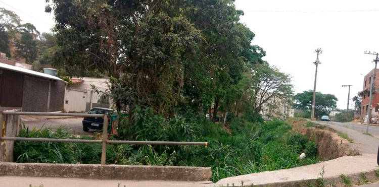 Leitor reclama de grade de proteção quebrada em ponte 1 VU carlos chagas
