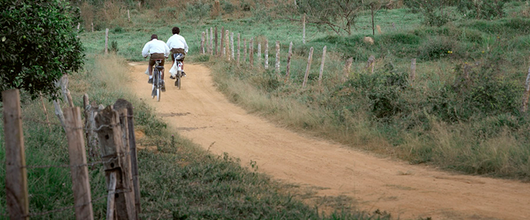 Foto: Divulgação a luta