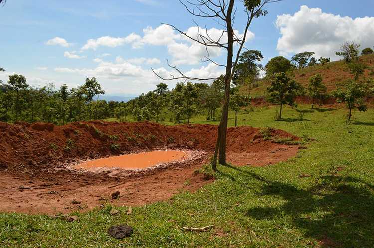 barraguinha