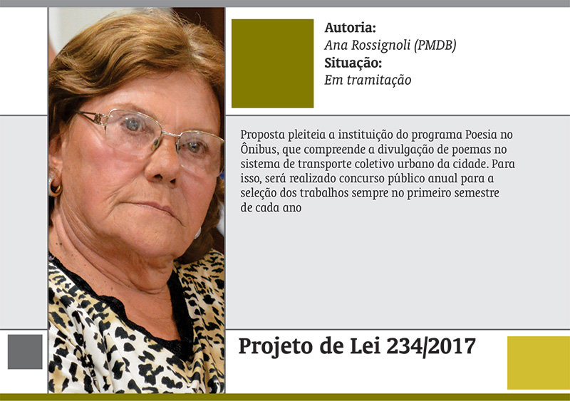 Vereadores também pleiteiam melhorias do sistema de ônibus 14 projetos de lei 2017 12
