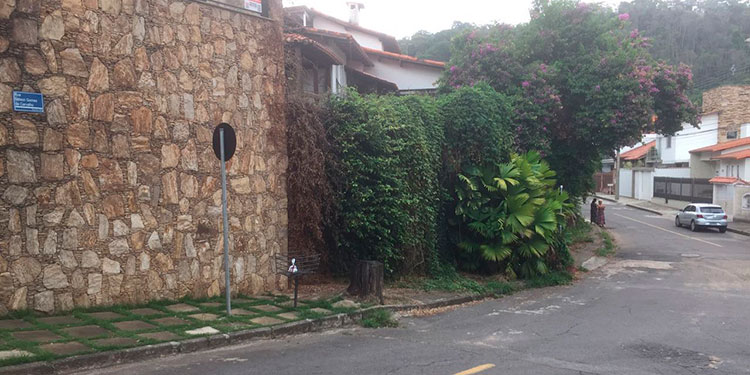 Plantas obstruem calçada e atraem animais peçonhentos no Vale do Ipê 1 VU Vale do Ipê 2.jpgCAPA