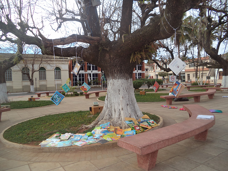 Escolas de Guarani recebem mais de mil livros infantis 1 guarani