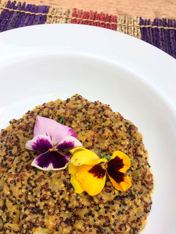Natal chegando, Ceia vegana 2 risoto de quinoa credito carolina dini