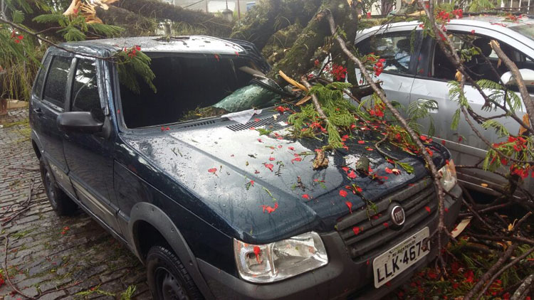 Além Paraíba entra em alerta após forte chuva 1 além paraíba 2 crédito defesa civil