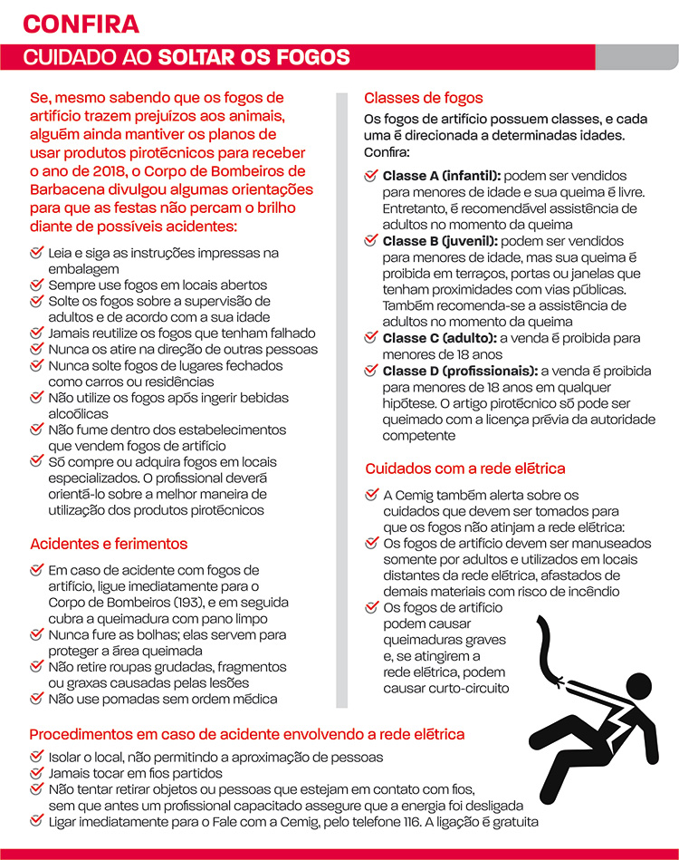 Fogos de artifício: cuidados para você e seus animais 3 cuidado ao soltar os fogos