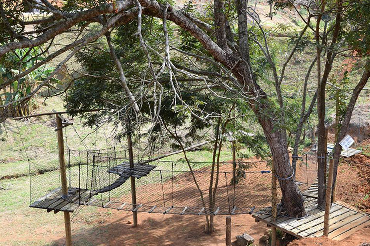 fazenda1 fazenda1