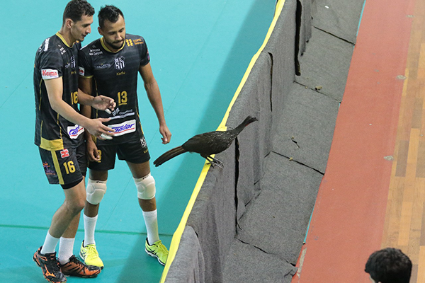 JF Vôlei perde por 3 sets a 1 para o Caramuru 2 jf volei jacu