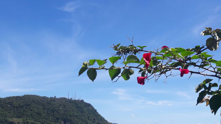 Semana será de temperaturas elevadas em Juiz de Fora 1 tempo Julia 3