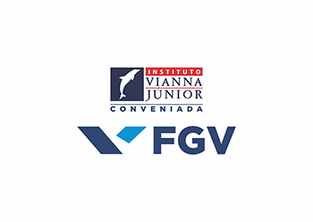 O que altos executivos têm em comum? 4 vianna fgv vertical