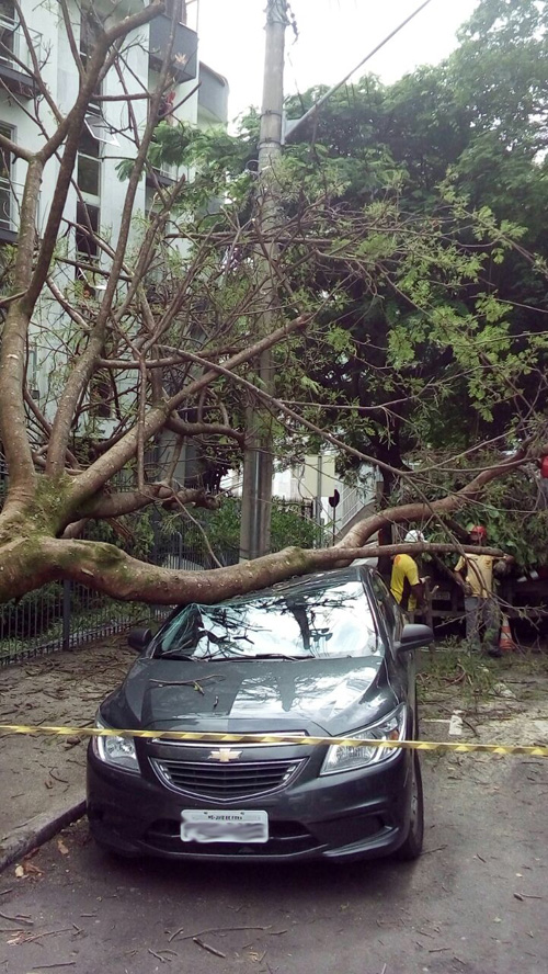 Árvore cai sobre carro no Bairro São Mateus 2 Arvore S Mateus Leo 2
