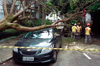 Árvore cai sobre carro no Bairro São Mateus 3 arvore são mateus capa leo