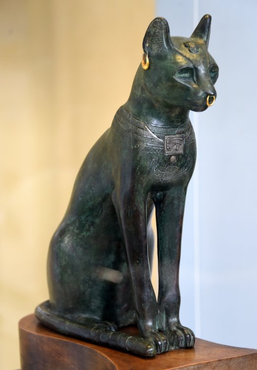 Gatos: uma especulação (ou carta ao professor José Neftalí Recinos) 1 gato del