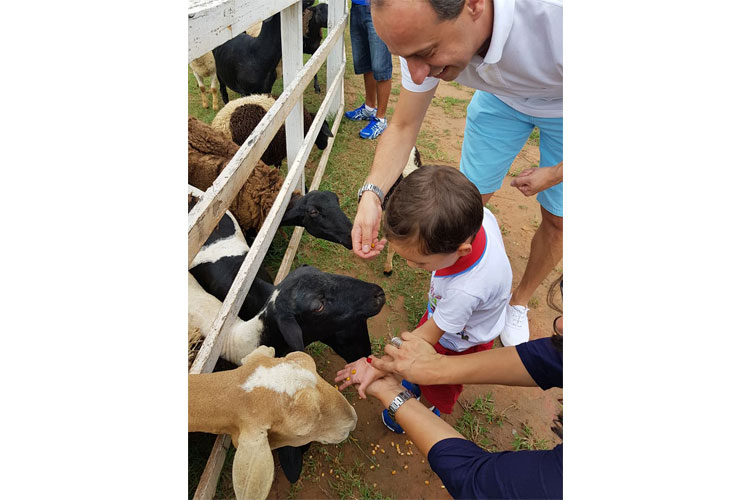 harasmirim harasmirim