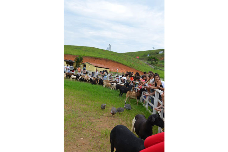 harasmirim3 harasmirim3