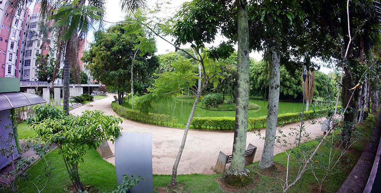 museu olavo