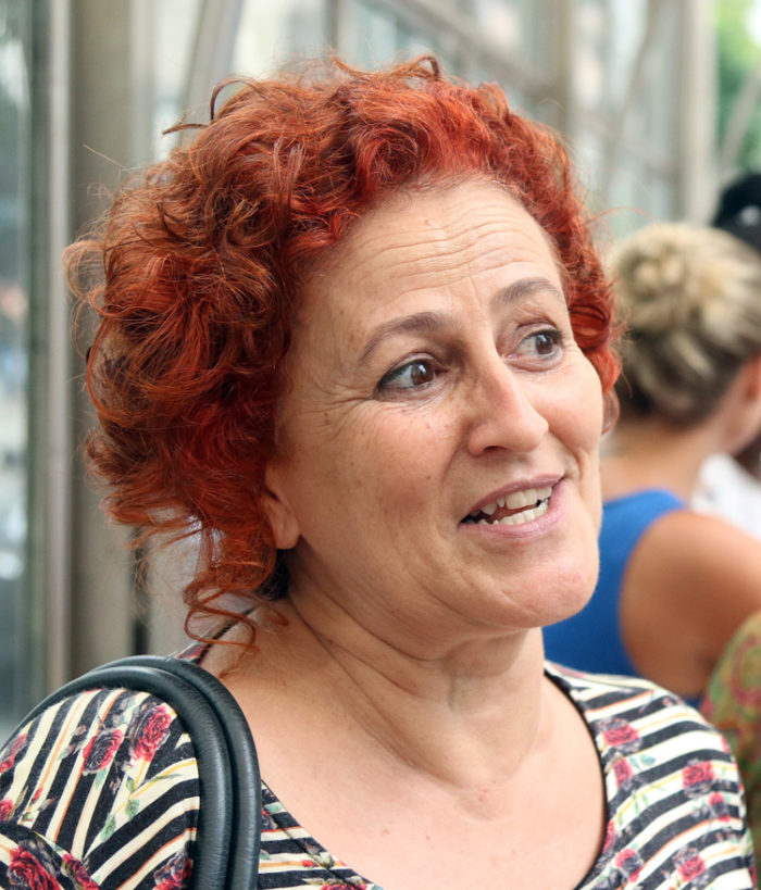 Ônibus voltarão a ter placa com informações sobre itinerário 3 Marieta Leo