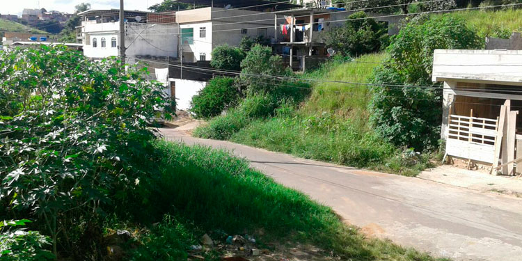 Mato alto e bota-fora irregular atraem animais no São Francisco de Paula 1 VU São Francisco de Paula.jpgCAPA