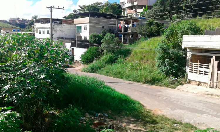 (Foto do leitor Elias Lopes) VU São Francisco de Paula1