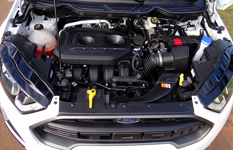autoperfil-EcoSport-Storm-8
