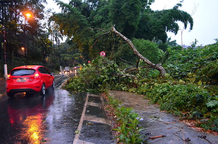 Foto: Olavo Prazeres chuva olavo