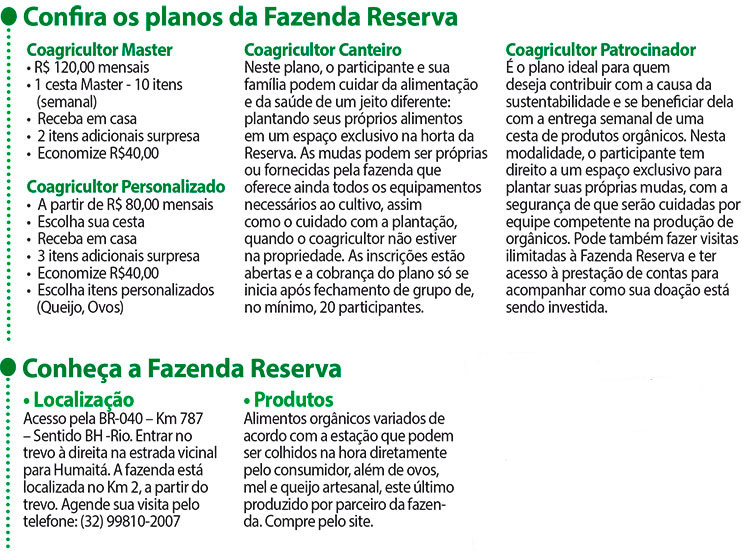 Ideia inovadora incentiva cultura de alimentos orgânicos 3 fazenda reserva 3