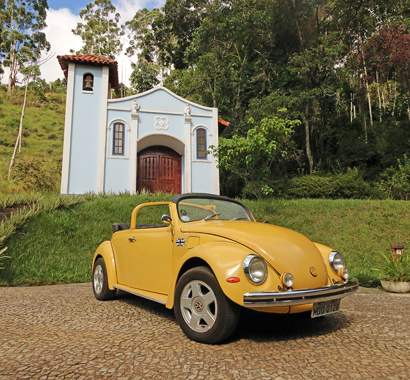 fusca leo1