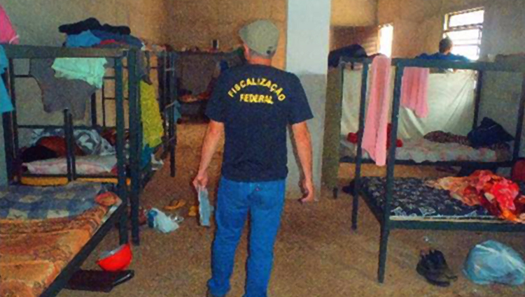 40 trabalhadores em condições análogas à escravidão são resgatados de fazenda 1 trabalhao escravo foto divulgação