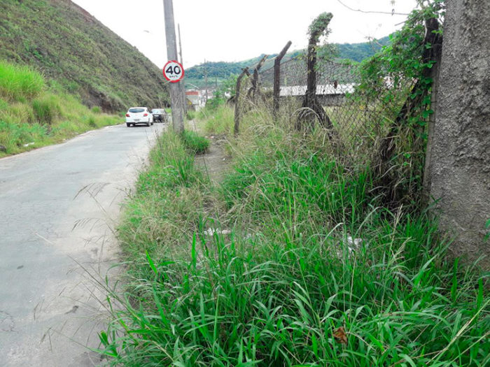 Mato alto obriga pedestres a andarem pela rua na Cidade do Sol 1 VU Cidade so Sol