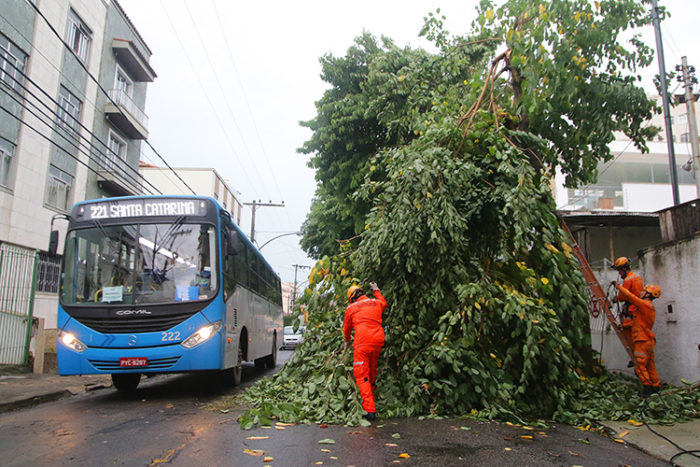 Mais uma tempestade atinge JF, que pode ter novas pancadas de chuvas no final de semana 1 arvore cai fernando 1