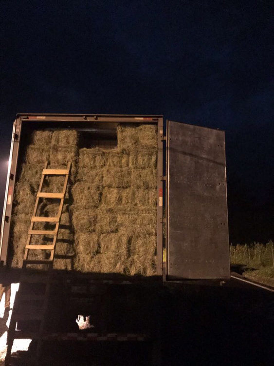 Polícia apreende cerca de 600 mil maços de cigarro em caminhão 1 cigarros PRF